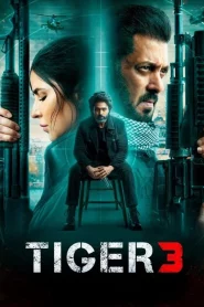 Tiger 3 (2023) เรียกข้าว่าเสือ 3