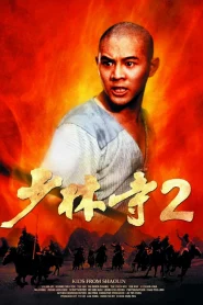 The Shaolin Temple 2 (1982) เสี้ยวลิ้มยี่ ภาค 2