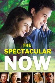 The Spectacular Now (2013) ใครสักคนบนโลกใบนี้